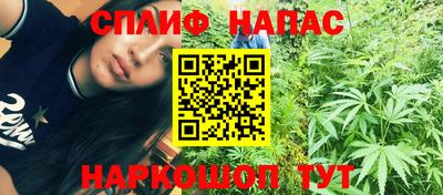 СК Краснодар