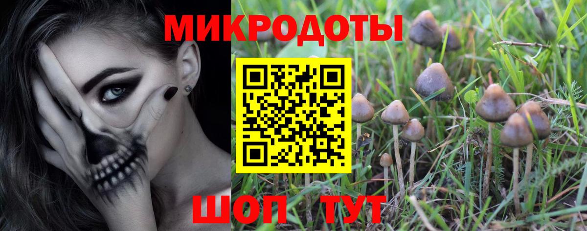 Киселёвск  Псилоцибиновые грибы прущие грибы  Вход с VPN 